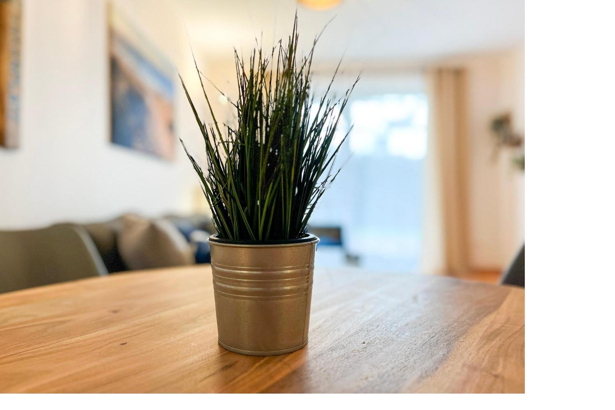 Hanse-Hof Wohnung 05 Boltenhagen  Bagian luar foto